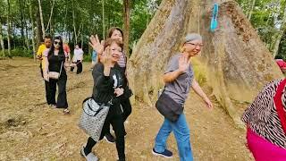 31/3 & 1/4/2025.两天一夜深度之旅Gua Musang. 这是一项前所未有走过的路程。但身为大马旅游大师曾志伟导游，还是接受这个挑战！最主要还是事先做好功课。面对种种问题克服他.