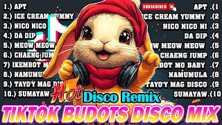 NEW TIKTOK BUDOTS DISCO DANCE REMIX NONSTOP 2024 - NEW TIKTOK MASHUP BUDOTS DANCE REMIX 2024