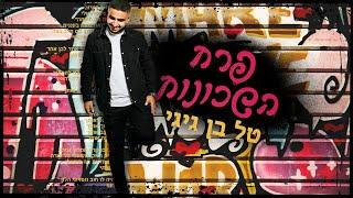 טל בן גיגי - פרח השכונות | Tal Ben Gigi -Perach Hashcunot ( קאבר )