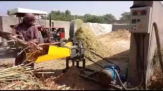 Chaff Cutter || Silage Machine in Pakistan || Brazil Made JF-40 Max