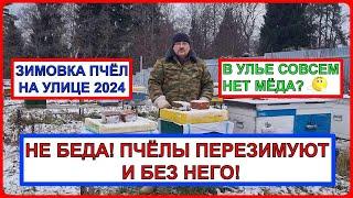 ️ Зимовка пчел 2024 на голом канди ️