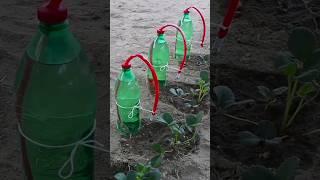 how to make homemade drip irrigation system #gardenideas #dripirrigation #irrigationmethod