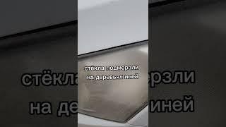 Зима в Техасе #жизньвтехасе #американскийтикток #январь2023