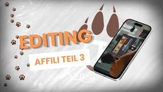 Affiliate 3. Editing