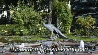 Лучшие сады и парки Москвы  (The best Moscow parks and gardens)