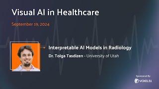 Visual AI in Healthcare: Interpretable AI Models in Radiology