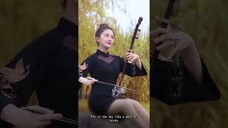 erhu-music swan goose （鸿雁)