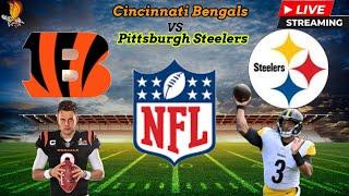 Cincinnati Bengals Vs Pittsburgh Steelers NFL LIVESTREAM, Watch Party, and Play by Play