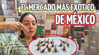 Mercado de San Juan  ¡Carnes Exóticas e Insectos!  - Diana y Aarón (DyA)