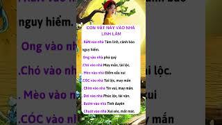 Triết Lý Cuộc Sống Hàng Ngày Theo Cổ Nhân | Tử Vi, Phong Thủy, Cải Vận, Hôn Nhân & Gia Đình #Short