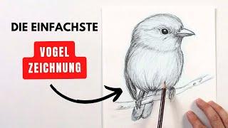 Drawing a bird – it couldn't be easier!