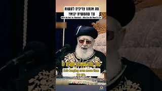 מה אנחנו צריכים לעשות עד שהמשיח יבוא? #משיח #גאולה #תורה #חיזוקים #אמונה #torah #emunah #messiah