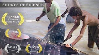 Shores of Silence | The slaughter of Whales sharks in India