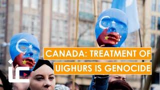 Canada: Treatment of Uighur Muslims is genocide | Islam Channel