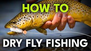 Beginner's Guide to Dry Fly Fishing — 6 Steps to Success! | Module 6, Section 2