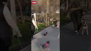 Новости из мира спорта  #новости  #юмор  #позитив