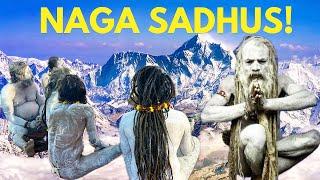 Life of Feared Extreme Naga Sadhus in Remote Mountains Caves (part 2!)