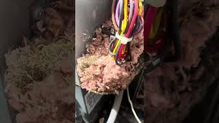 Air Conditioner Maintenance #hvacfails #electricalfails #transformation