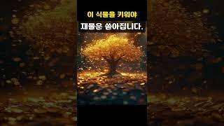 부자집이 왜 이 식물을 키우는지 말씀드립니다 #대운 #풍수  #식물  #돈 #재물운 #재물  #풍수인테리어 #생활풍수