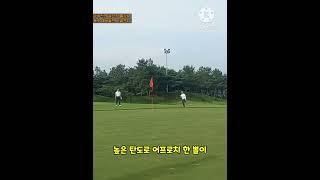대단히 신박한 골프 어프로치 공략법 ㅋㅋㅋㅋ 