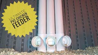 Best PVC Chicken Feeders (Cheep + Easy)