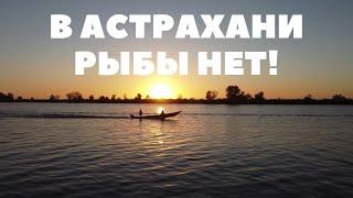 В АСТРАХАНИ РЫБЫ НЕТ!