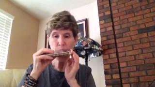 Hohner Echo Harmonica