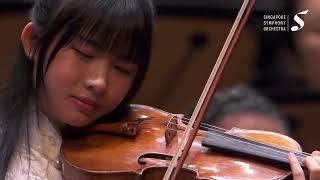 Opening of the Butterfly Lovers Violin Concerto ʚїɞ