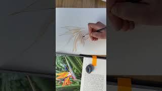 Beautiful watercolor tutorial - painting tropical Strelizia flower #arttutorial #howtodraw #arttips