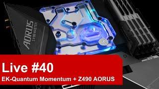 Montage EK-Quantum Momentum sur Z490 AORUS Master