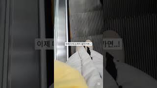 다이소로그️#몽몽뀨#다이소로그