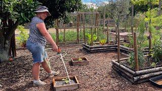 A Pumpkin PROBLEM - June Garden Tour 2024 - Gardening in Portugal