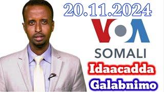 Voa Somali Radio Idaacadda Galabnimo 20.11.2024