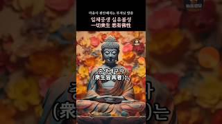 모든 중생은 불성을 지닌다 #부처님말씀 #법화경