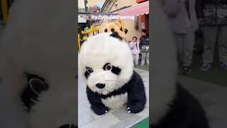 Tukur tukur | Cute Bear Panda #shorts #reels  #youtubeshorts  tukur tukur