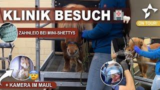 Klinikbesuch | Pony muss auf die Hebebühne 🫣!