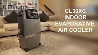 CL30XC Honeywell Indoor Air Cooler (US)