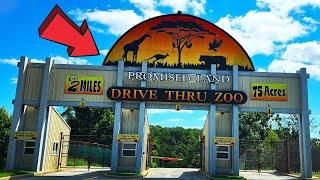 Discover Branson's Promised Land Zoo Full Tour