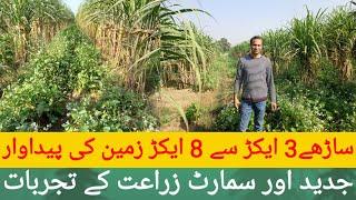 Smart Agriculture techniques in 4/1.R.A /زراعت کے جدید اور زیادہ فائدے مند طریقے