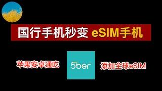 让不支持eSIM的手机秒变eSIM手机国行手机也可以添加eSIM套餐、添加任何国家/运营商eSIM卡⭕️5Ber eSIM 使用教程：境外eSIM卡保号、旅游eSIM流量从未如此简单｜数字牧民LC