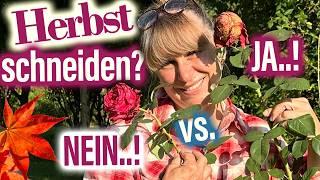 ROSEN schneiden ️ im HERBST..?! John Scarman: Deadheading? STOP!