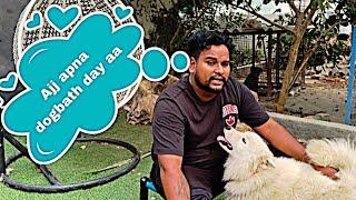 Dogs  ਨੂੰ ਨਵਾਉਣ ਦਾ best ਤਰੀਕਾ️  ( let me introduce my all dogs) #sandhuhoni22 #vlog