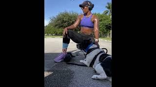 Dog attack incident at Roscoe Warren Municipal Park in Homestead, Florida