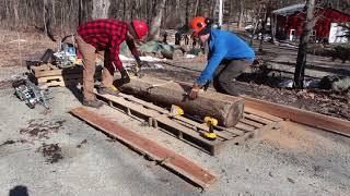 Stihl & Granberg small portable chainsaw log mill - Making first cut into red oak to slab lumber