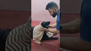 Dollar Pagal Ho Gaya  #funnydogvideos #comedydog #funnymemes #pagalbetacomedy