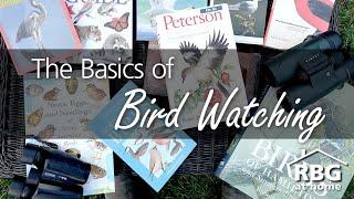 Bird Watching for Beginners