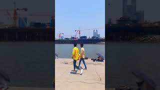 Haji Ali Dargha Mumbai | Mumbai City Tour #mumbai #shorts #shortvideo #hajiali