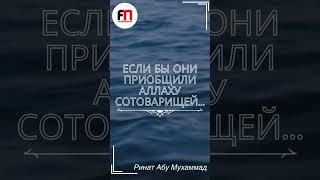 Если бы они приобщили Аллаху сотоварищей... | Ринат Абу Мухаммад