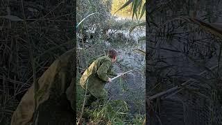 Первый сазан на Нижней Волге Новичкам везет