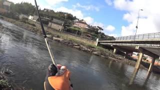 Pesca de grande Barbo com Camarão Savage Gear 3D em LRF